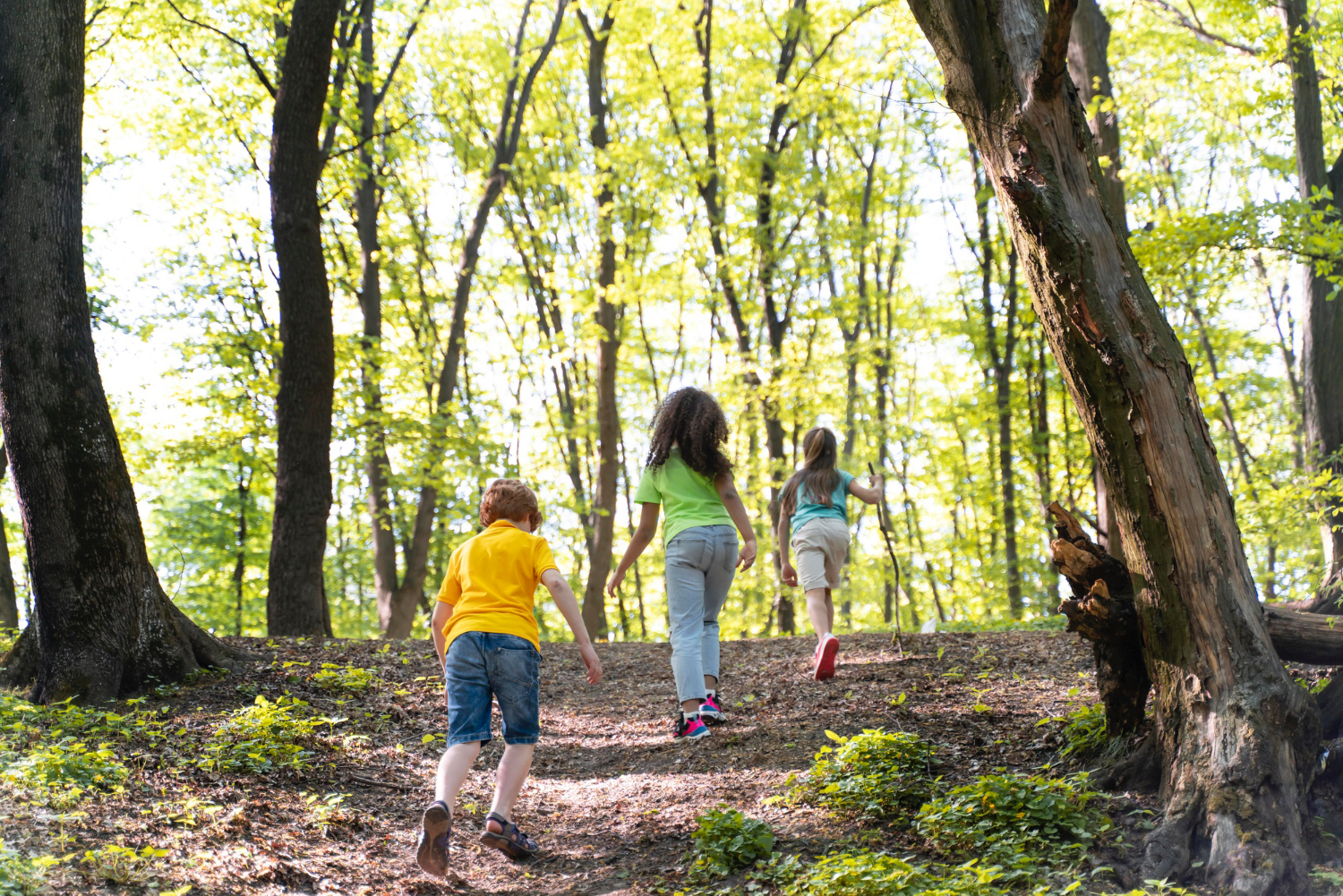 esplorazione della natura benefici per i bambini