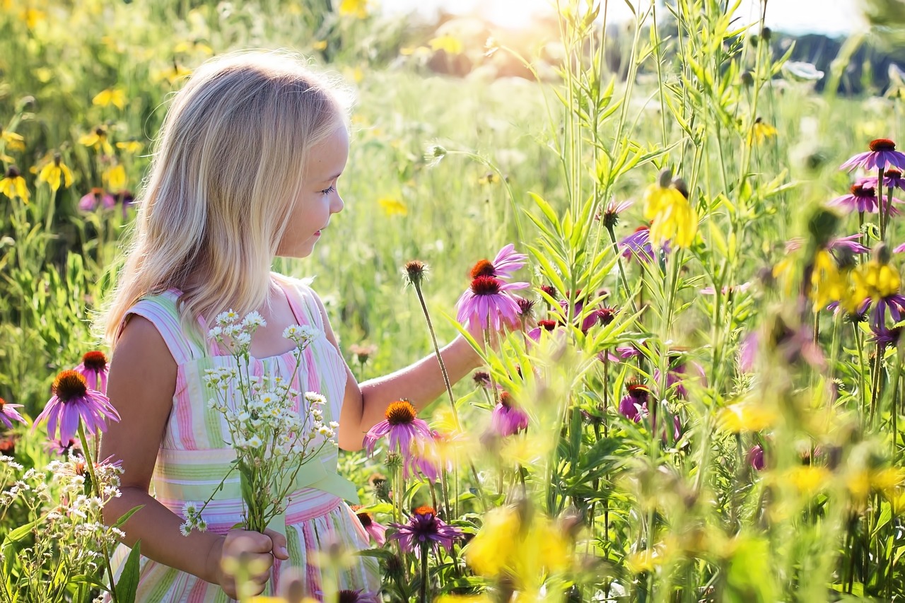 Attività di primavera